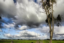 万博体育官网：辽宁男篮拒绝爆冷！击败山东队，杨鸣全力出击，CCTV5直播.